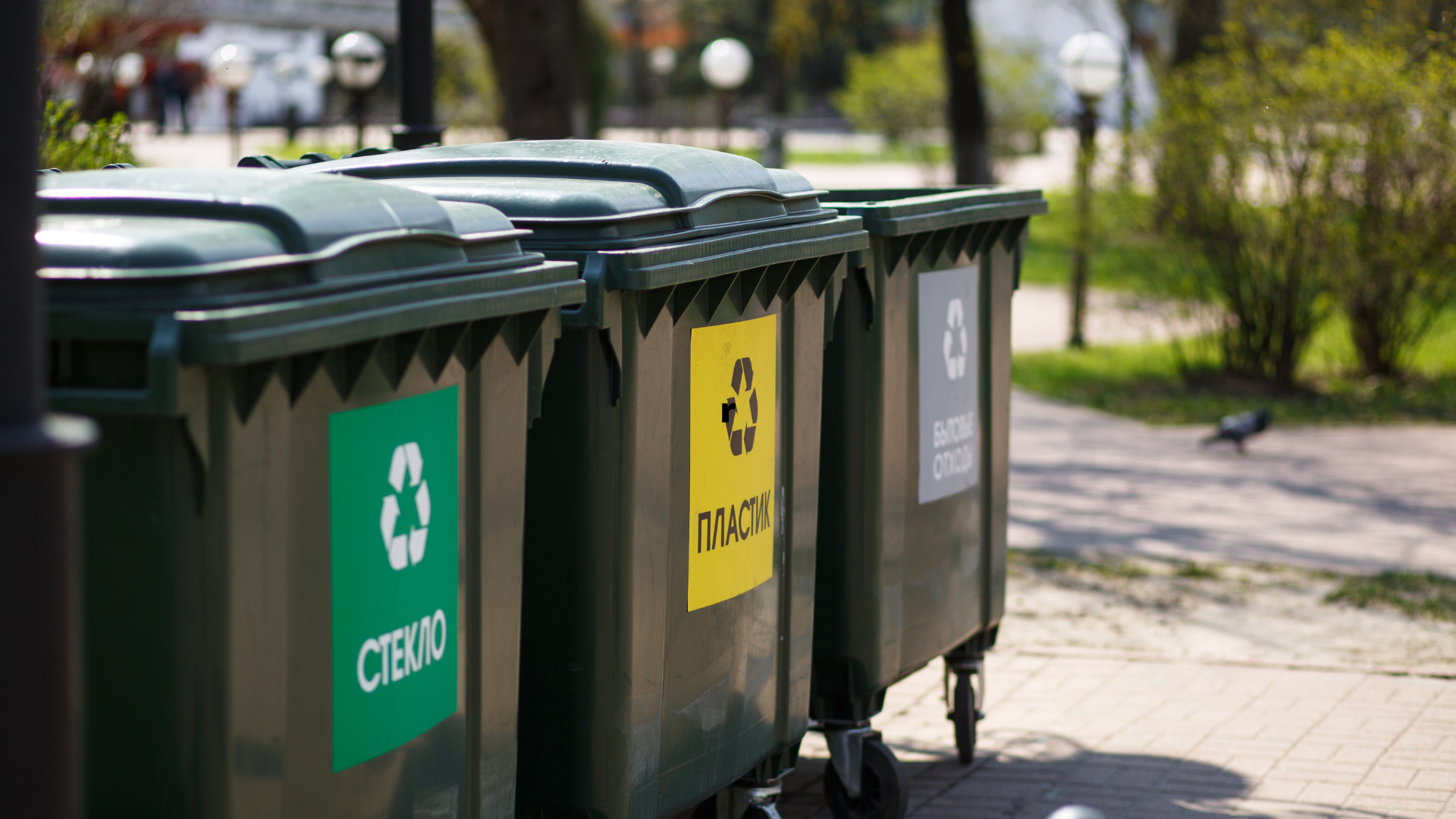 Mes déchets - Poubelles jaunes et vertes