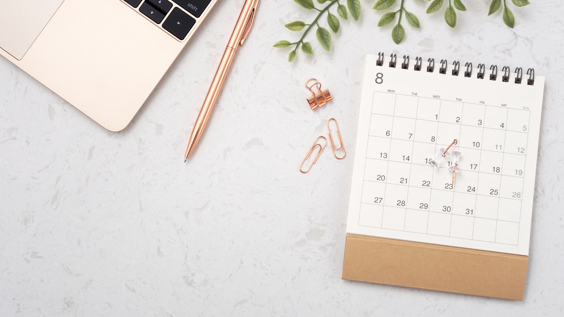 Agenda France Services