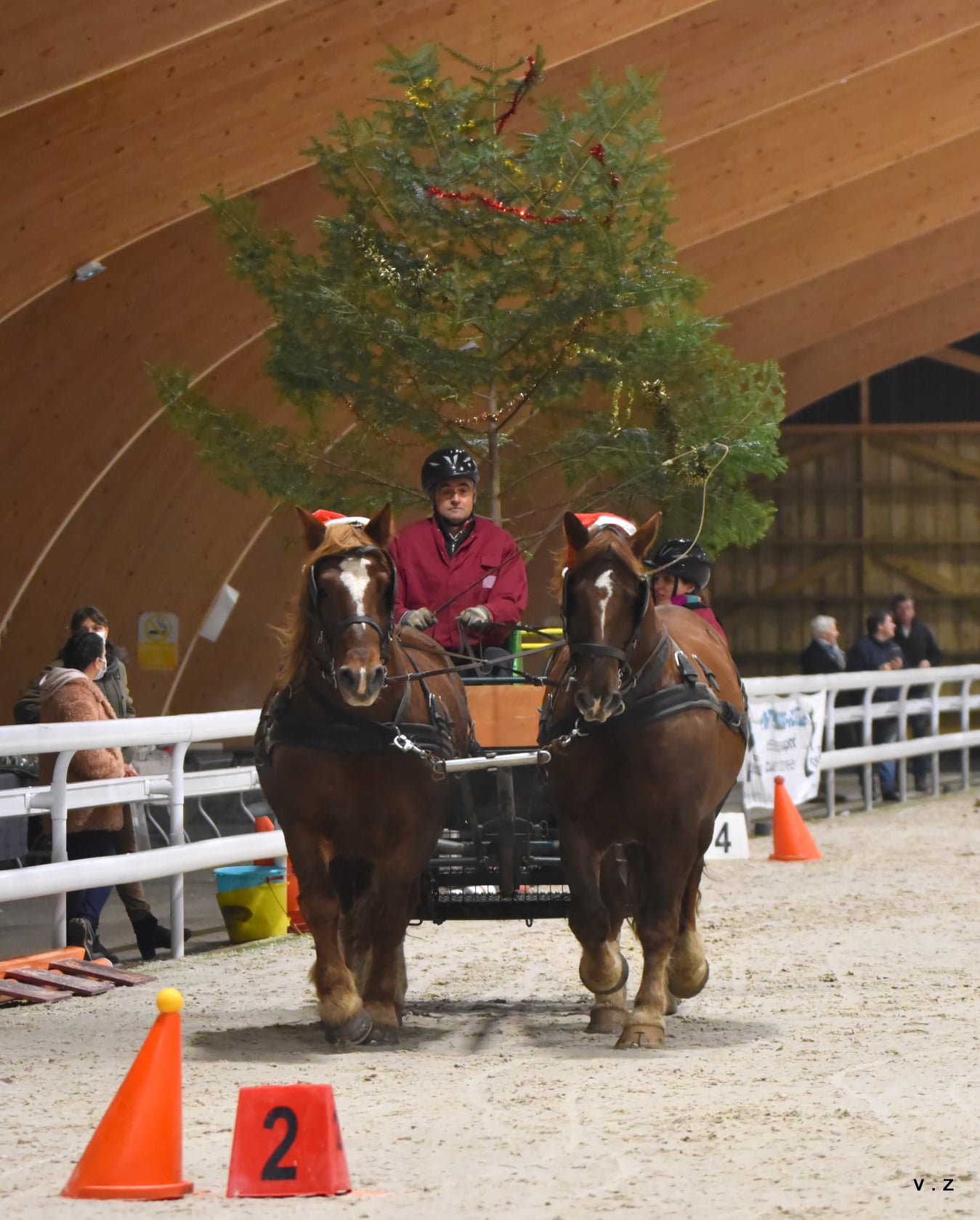 L'équipôle - Concours indoor attelage