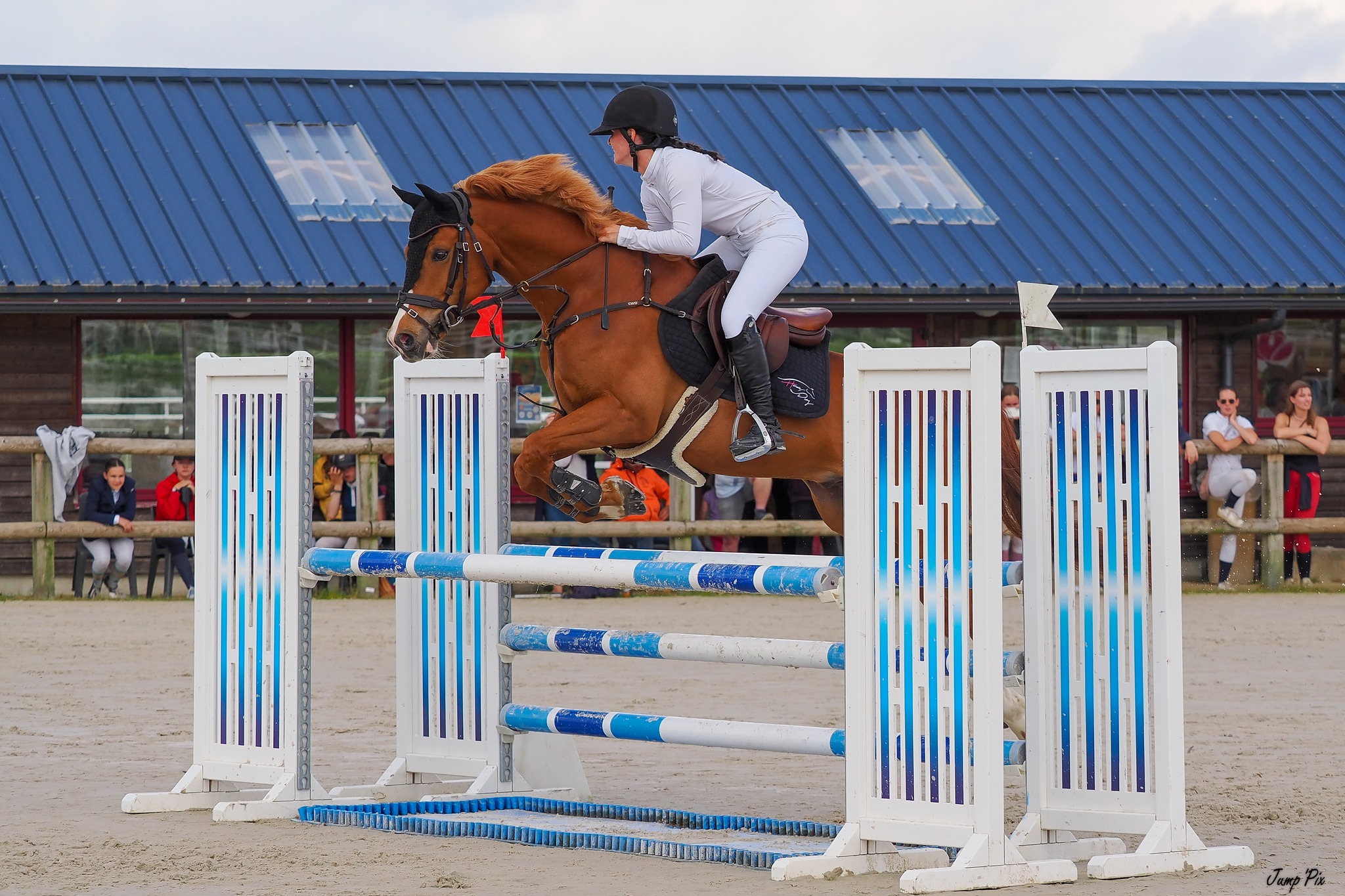 L’équipôle – Concours de sauts d’obstacles