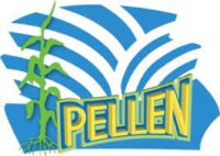 entreprise_pellen_logo