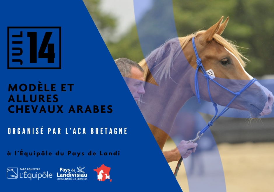 CCPL – Equipôle – Modèle et allures chevaux arabes – 14 juillet