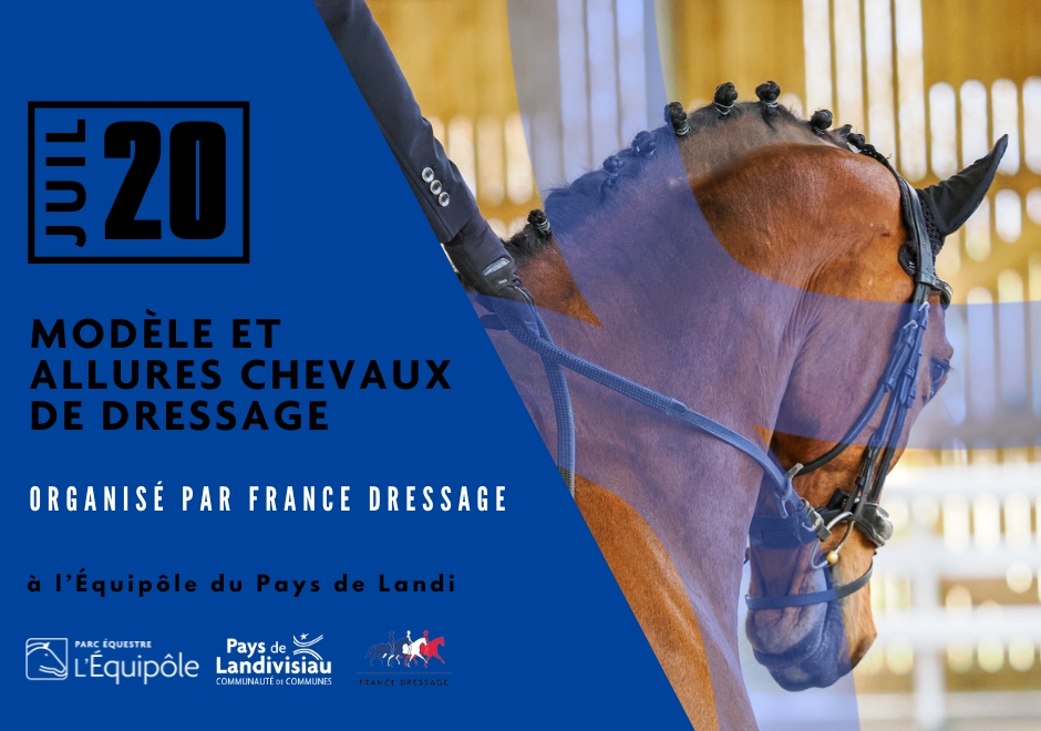 CCPL - Equipôle - Modèle et allures chevaux de dressage - 20 juillet