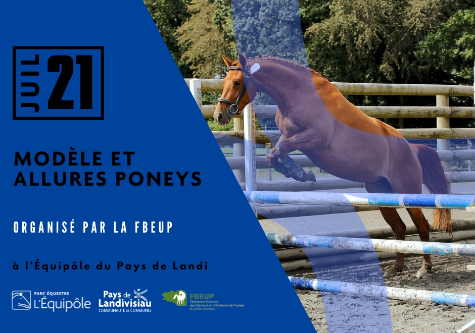 CCPL – Equipôle – Modèle et allures poneys – 21 juillet
