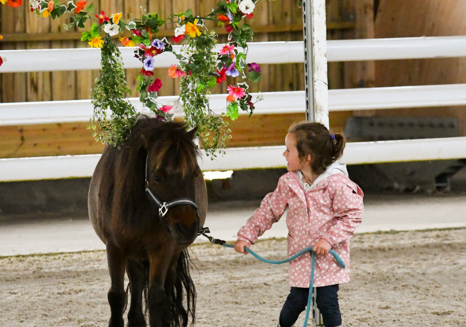 Equipole – mercredis de l’equipole – mai