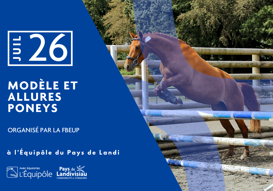 CCPL – Equipôle – Modèle et allures poneys – juillet