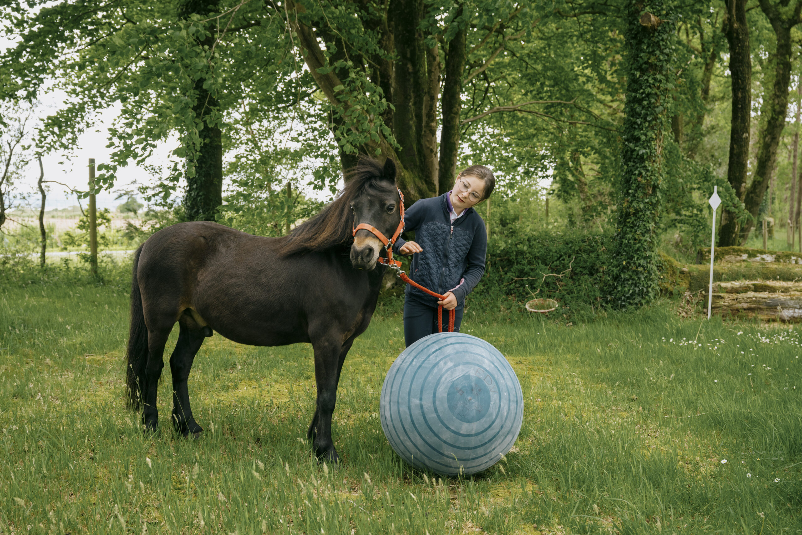 L'artiste, c'est moi !
