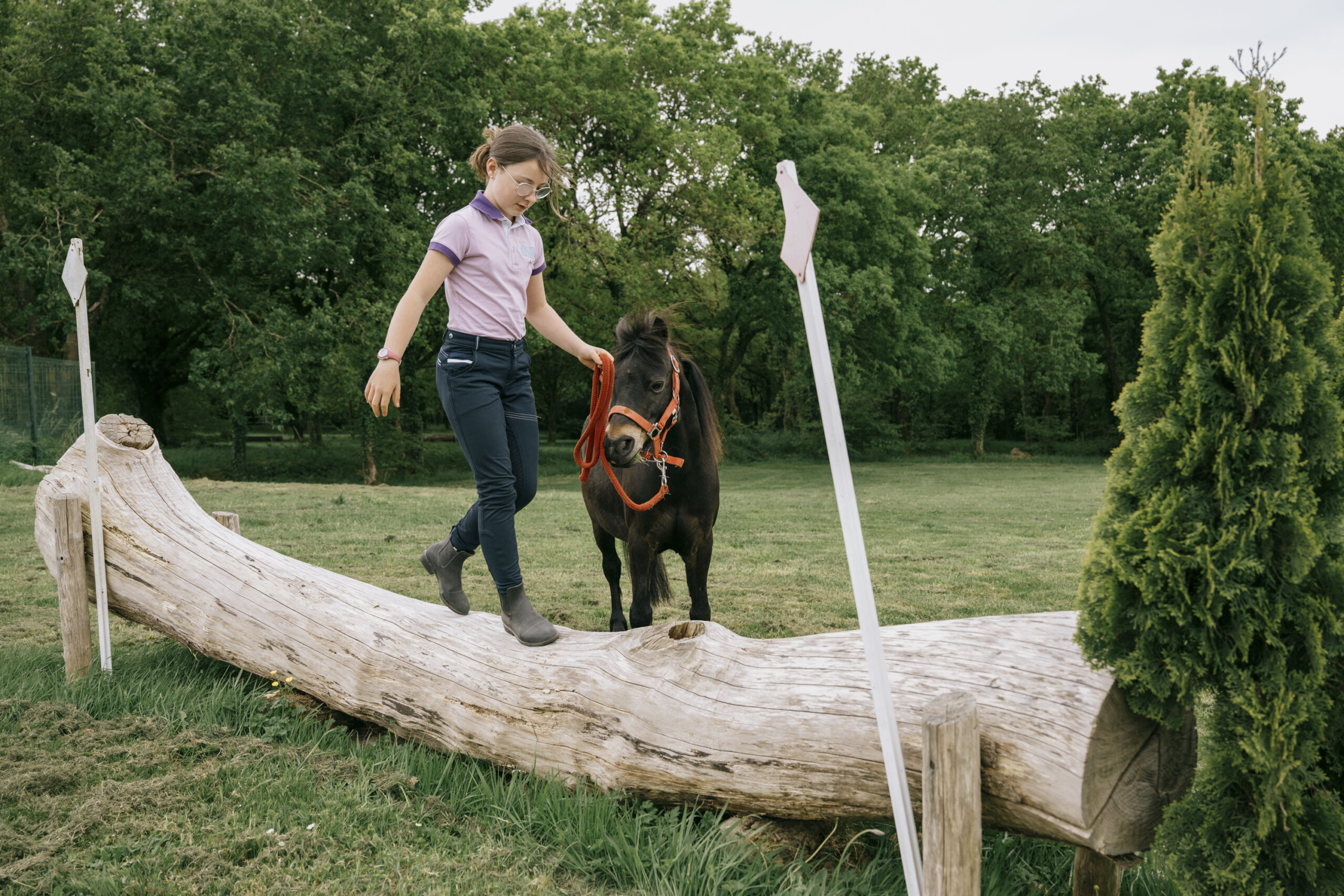 Le poney, mon super coach