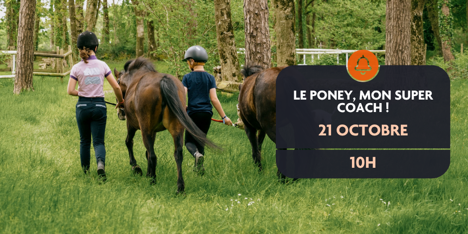 Le poney, mon super coach