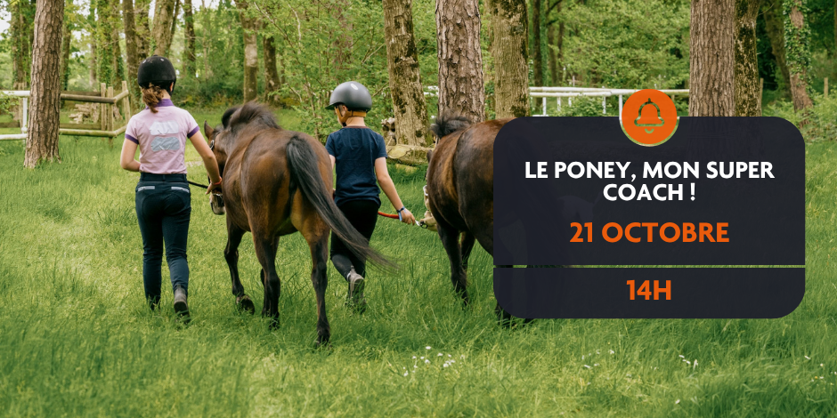 Le poney, mon super coach