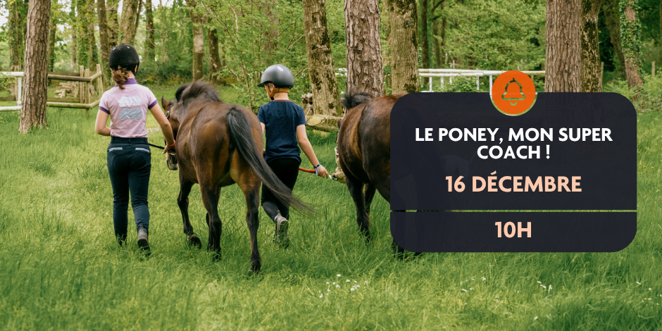 Le poney, mon super coach